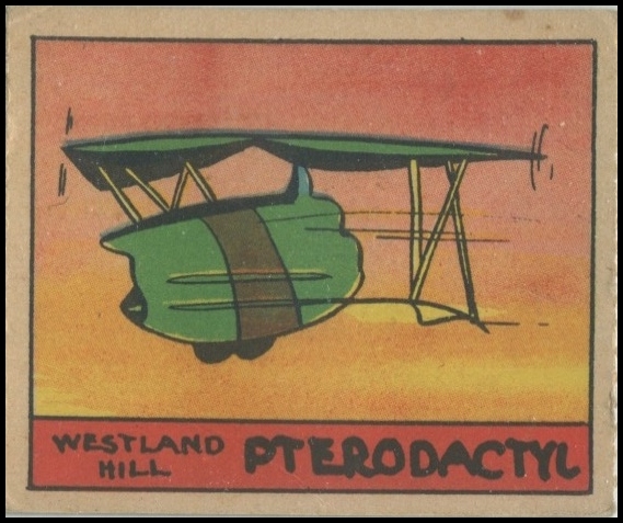 Westland Hill Pterodactyl